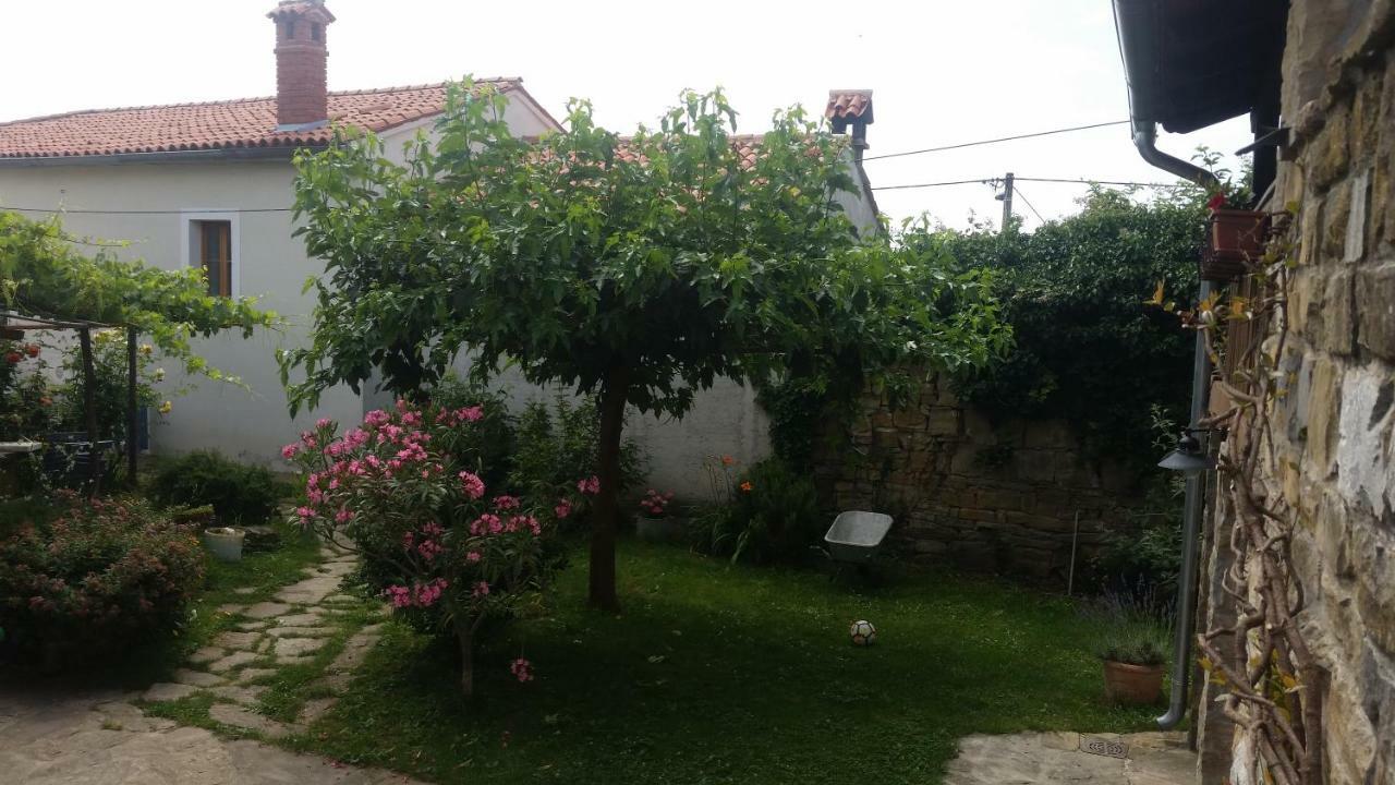 Labor Istrska Hiska Villa Марезиге Екстериор снимка